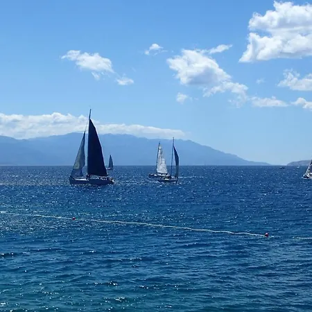 Vitamare 160 M From The