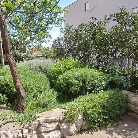 Vitamare 160 M From The